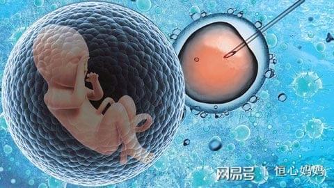 试管借卵代怀机构